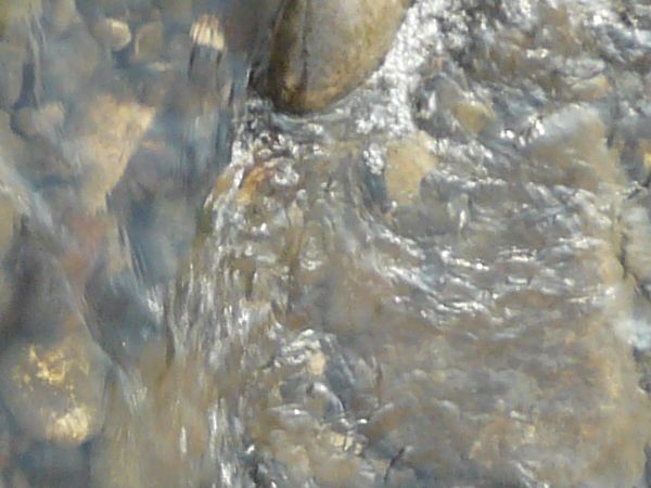 Shallow water texture with rocks and wooden planks peaking above surface.