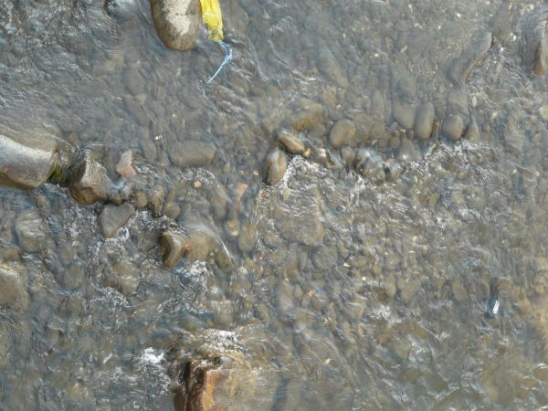 Shallow water texture with rocks and wooden planks peaking above surface.