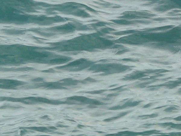 Deep water texture in dark blue tone with small, consistent waves across surface.