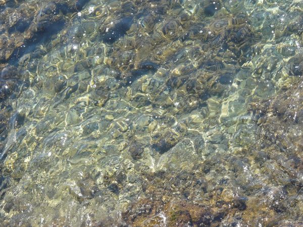 Clear water texture with rocky, brown and grey floor beneath surface.