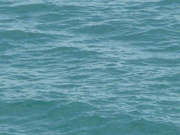 Ocean water texture in vibrant blue tone with small waves on surface.