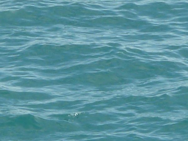 Ocean water texture in vibrant blue tone with small waves on surface.