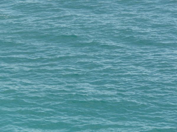 Ocean water texture in vibrant blue tone with small waves on surface.