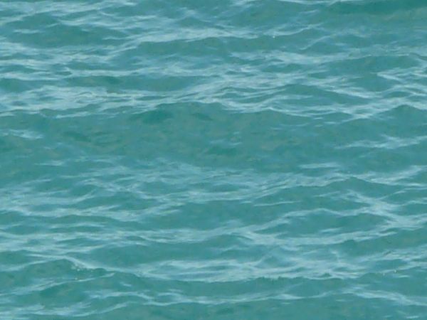 Ocean water texture in vibrant blue tone with small waves on surface.