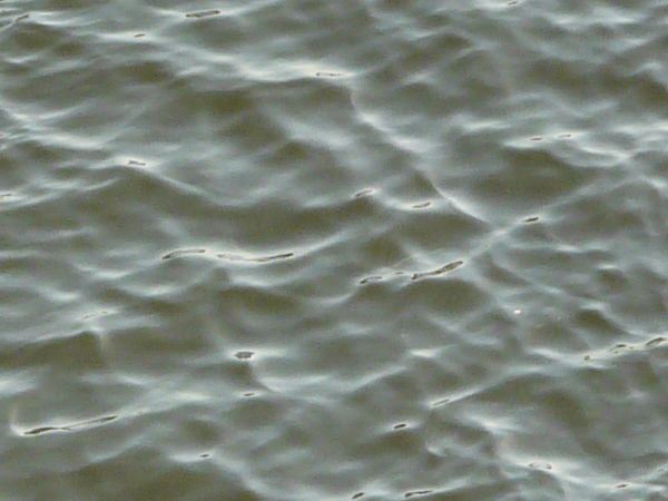 water  texture