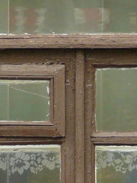 White window texture with brown trim and teal and red painted details at the top. A sheer white curtain and several potted plants are visible behind the glass.