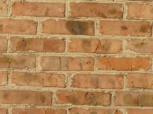 Grey windows texture, set in a red and brown brick wall, with white lace curtains visible behind the glass.