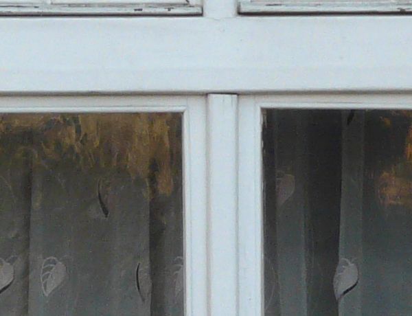 Tall windows texture with white wood trim, set in a yellow stone wall. Thin curtains with a leaf pattern are visible behind the windows.