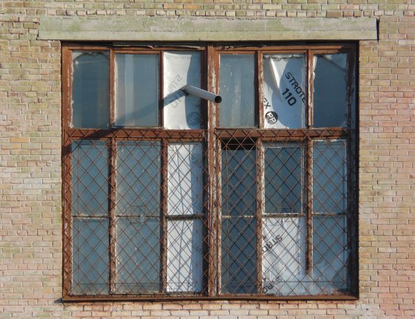 Window texture with panes divided by rusted metal, and partially covered by a rusted metal lattice. White material is visible behind some of the panes, and a white tube is protruding from one of them.