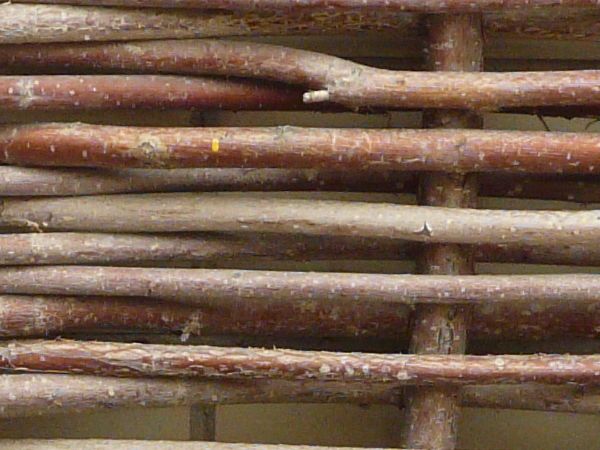 wooden stick texture 0020 - Texturelib