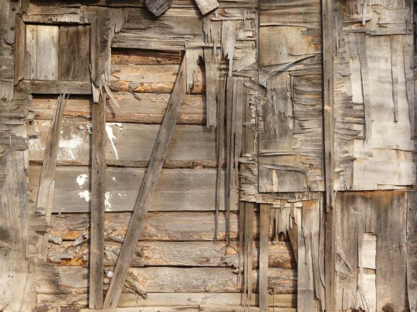 Texture of wooden wall with very worn, damaged surface.