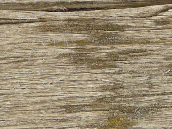 Stained white wood texture with deep cracks and heavy brown rust staining.