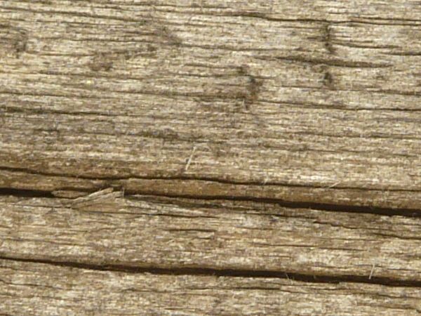 Stained white wood texture with deep cracks and heavy brown rust staining.