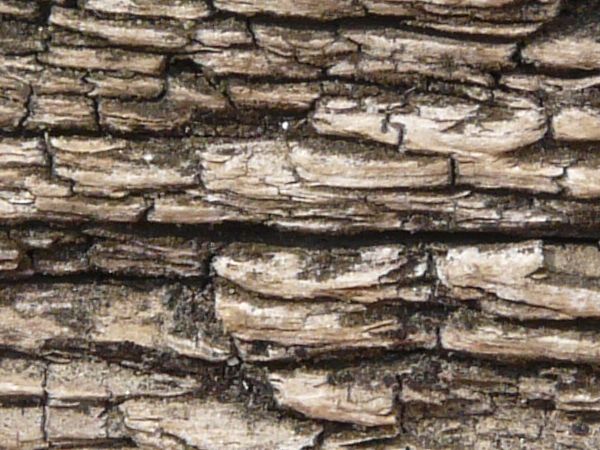 Old white wood texture, with heavy dark ruts and cracks covering its surface.