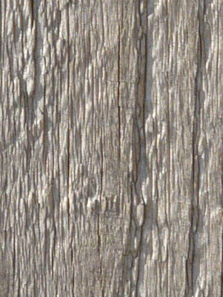 Old white wood texture, with a coarse vertical grain and a large knot.