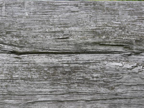 Old white wood texture, with a rough horizontal grain and areas of grey wood visible beneath the paint.
