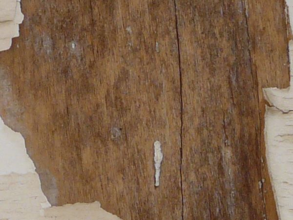 Old brown wood texture, with large patches of peeling white paint.