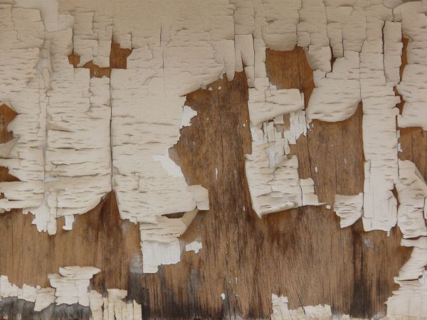 Old brown wood texture, with large patches of peeling white paint.