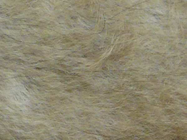 fur  texture