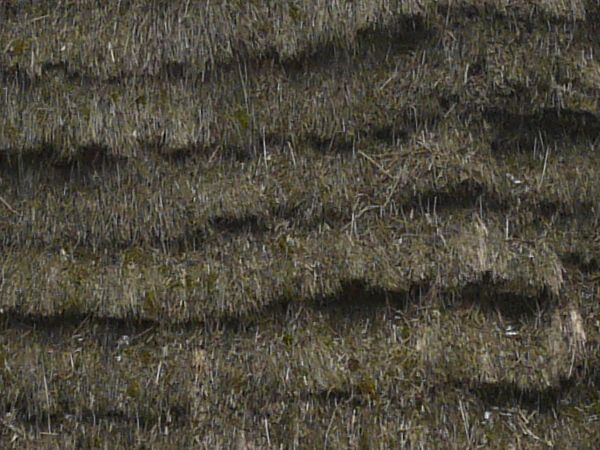 Small cabin made of large, wooden logs with tall, thatched roof.