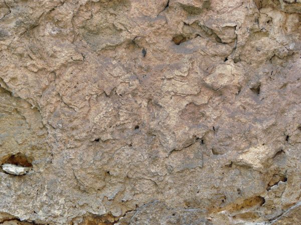 rough concrete  texture