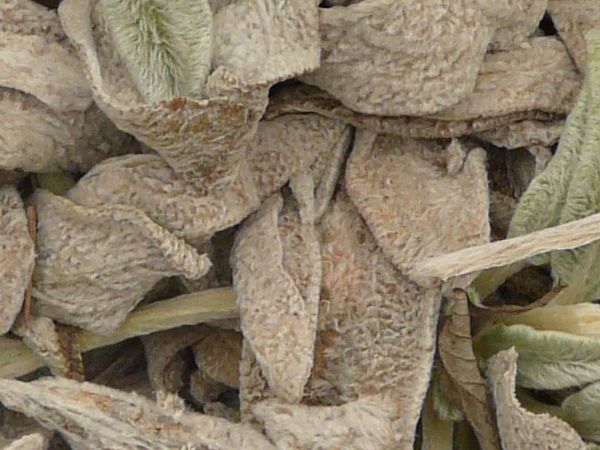 various debris and garbage  texture