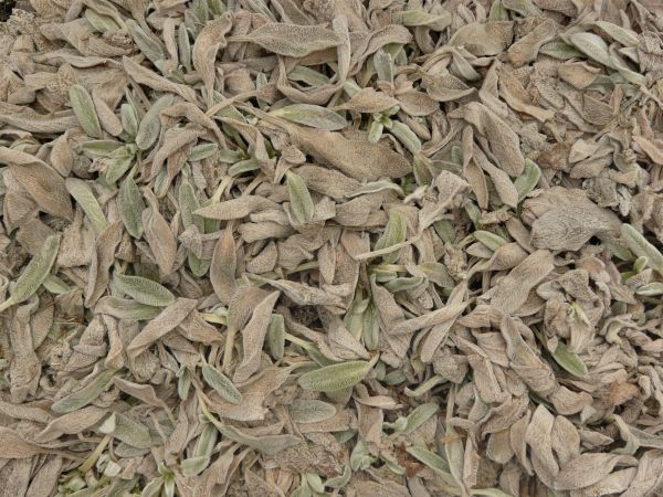 various debris and garbage  texture