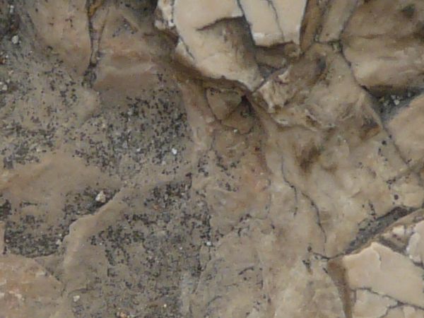 Aged cement in beige tone with cracked center.