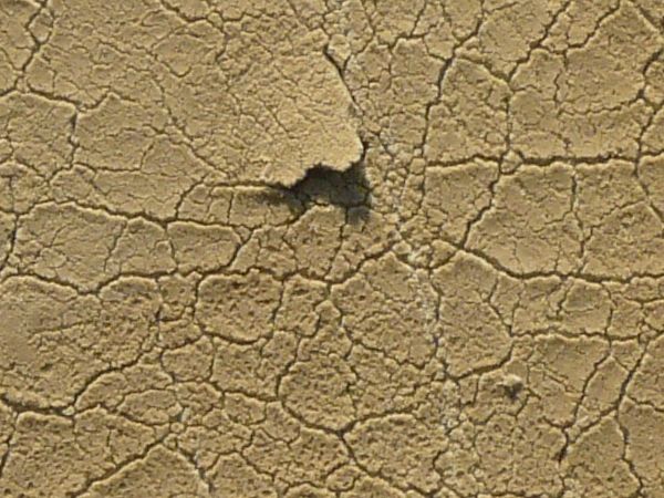 Worn foam texture in beige color with myriads of cracks on surface.