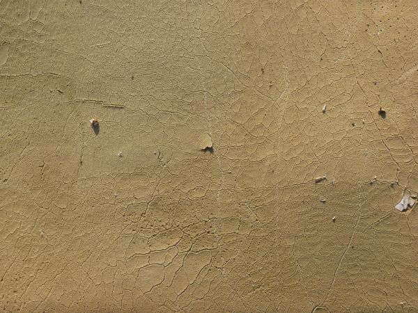 Worn foam texture in beige color with myriads of cracks on surface.