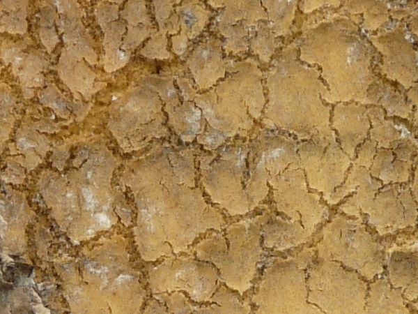 Foam texture in pale orange tone with very worn, cracking surface and grey spots.