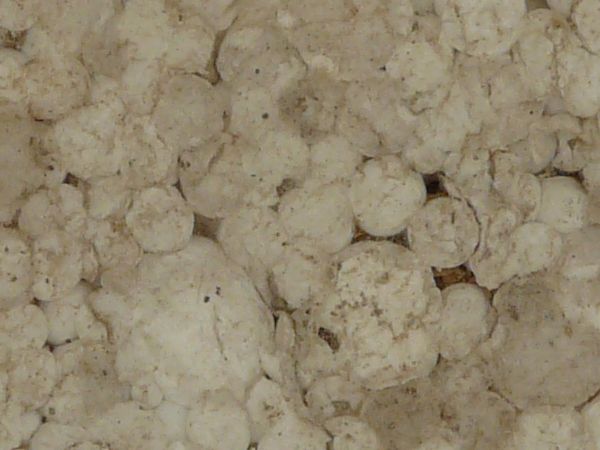 Old texture of round, grey cork with holes and slightly dirty surface.