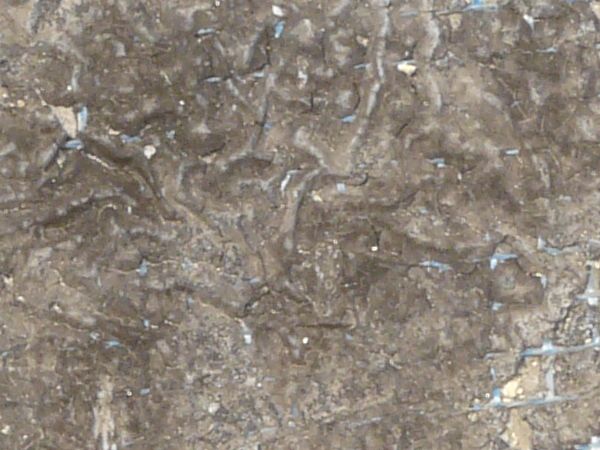 Plastic mesh texture embedded in dirty rubber and plaster.