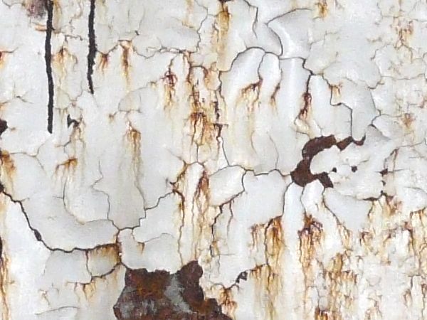 rusted white paint texture 0021 - Texturelib
