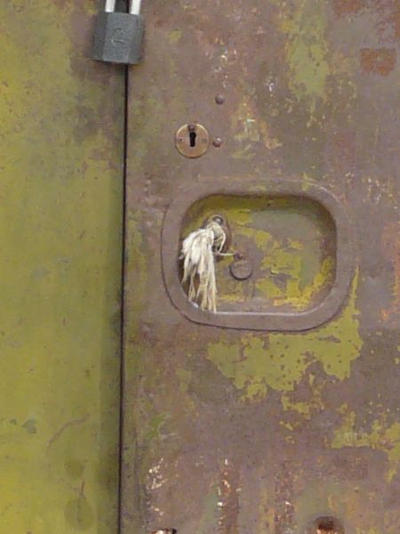 vehicle  texture
