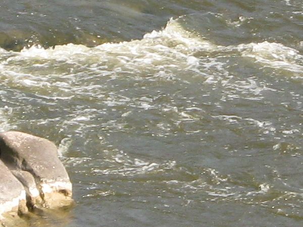 Shore texture with very shallow water and few grey rocks peaking above surface.