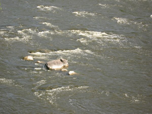 Shore texture with very shallow water and few grey rocks peaking above surface.