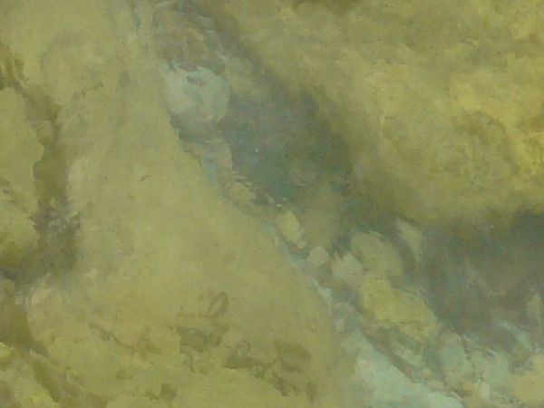 Water texture with slightly murky consistency and large, brown rocks below surface.