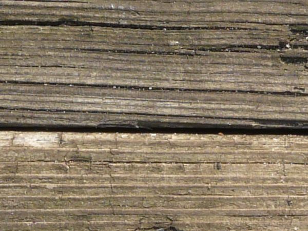 Old grey wood texture, with deep cracks and small patches of green moss.